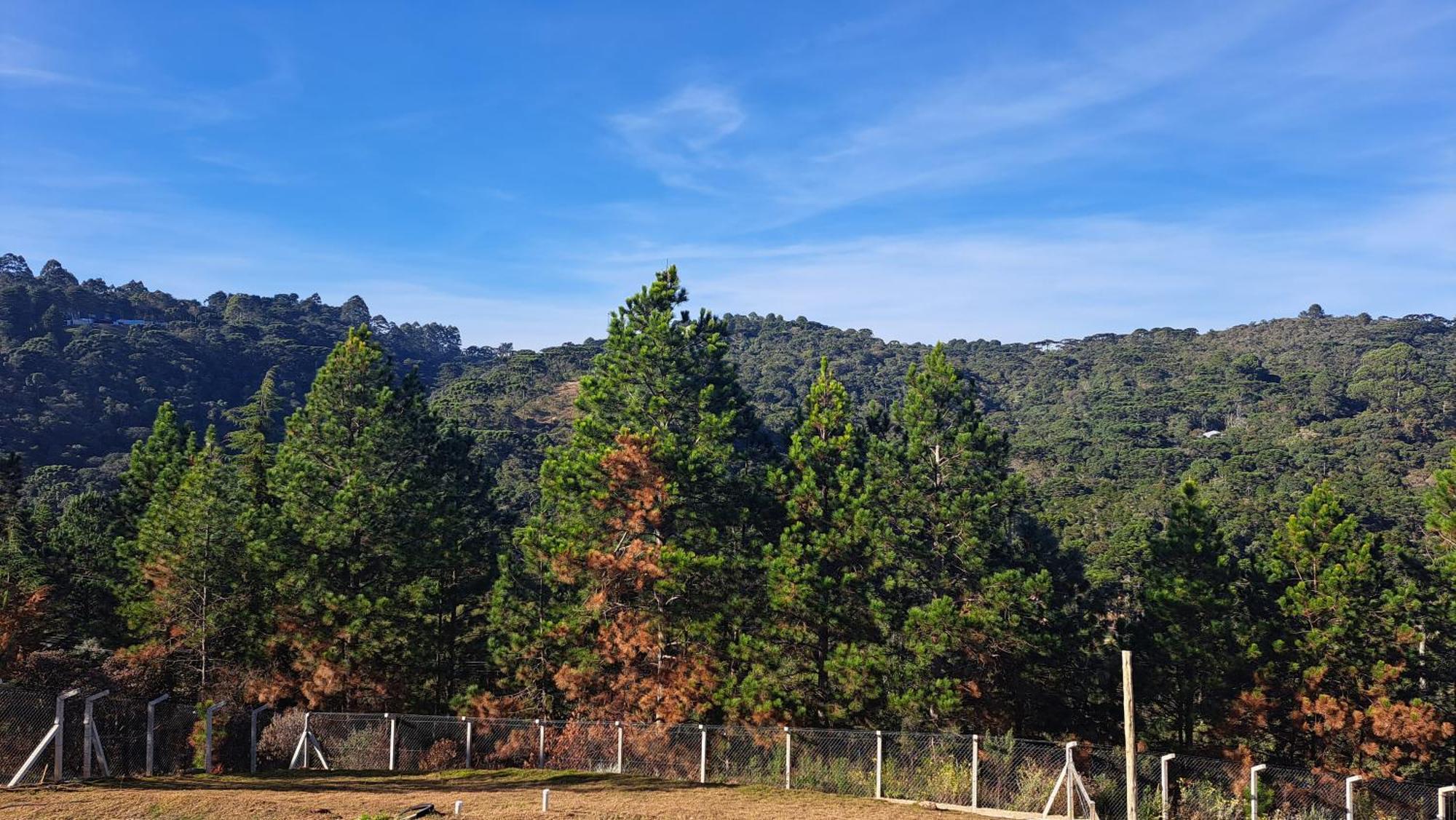 Chale Luz Do Luar Romantismo E Uma Linda Vista Campos do Jordão المظهر الخارجي الصورة